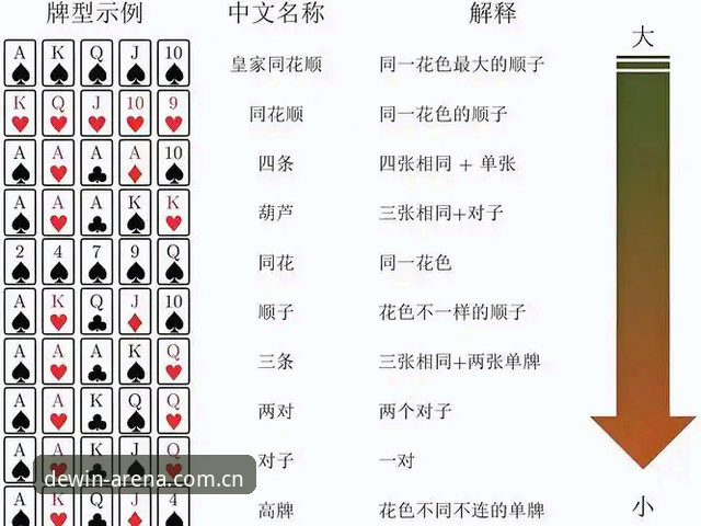 德赢体育竞技平台完整使用指南：从新手到高手的实战攻略