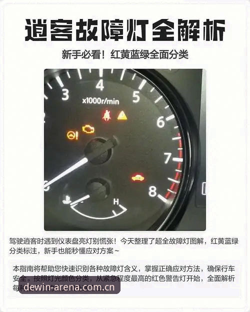 新手必看！德赢体育平台使用心得——从注册到投注的完整经验分享
